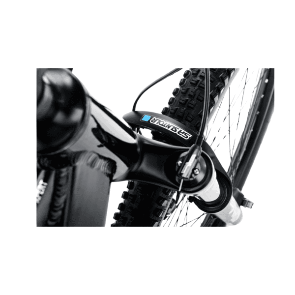 CTM E- bike Pulze Xpert 2023 - Image 2