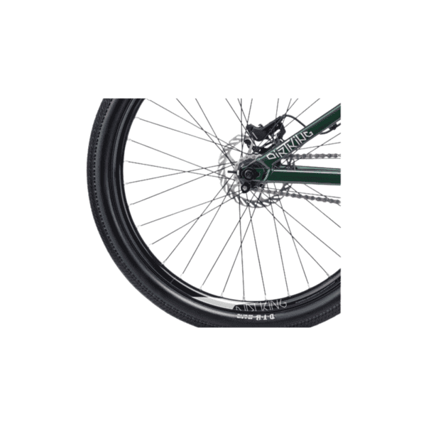 CTM - Dirtking Xpert 2020 - Image 3
