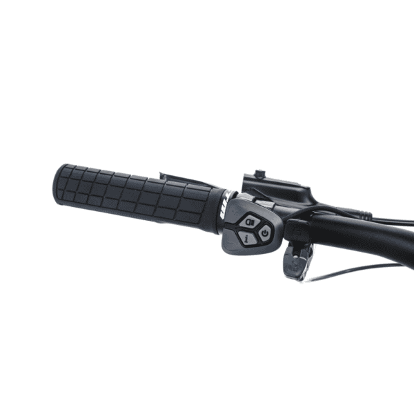 CTM E- bike Pulze 2023 - Image 3