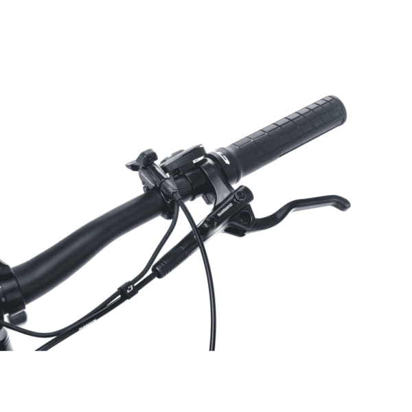 CTM E- bike Pulze Xpert 2023 - Image 4