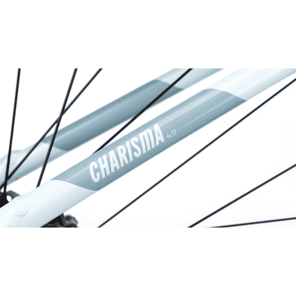 CTM - Charisma 4.0 (2024) - Image 6