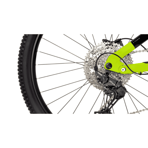 CTM E- bike Areon Xpert 2024 - Image 4