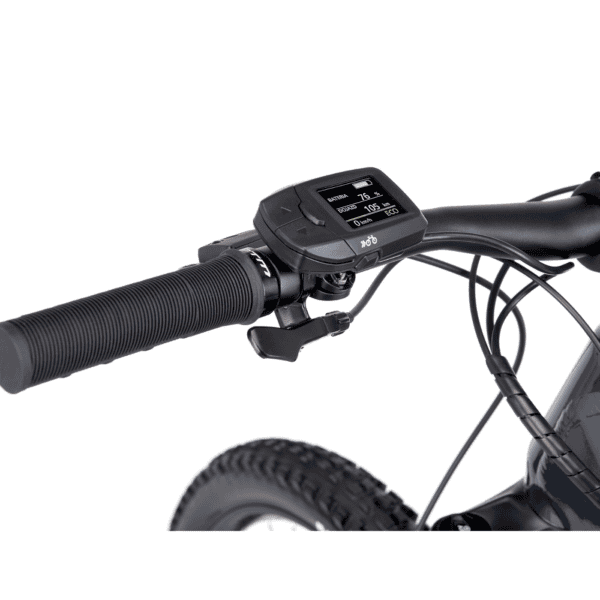 CTM E- bike AREON GX Xpert 2025 - Image 10