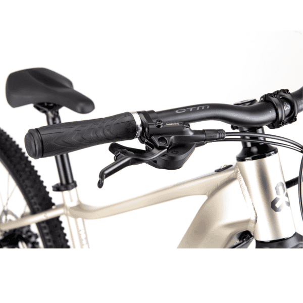 CTM E- bike RUBY GX PRO (2025) - Image 2