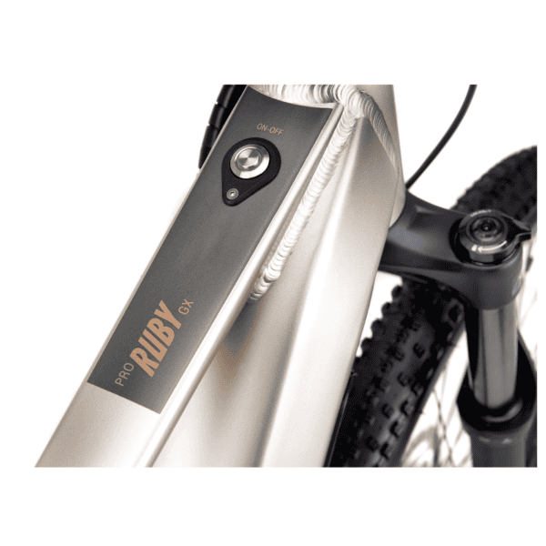 CTM E- bike RUBY GX PRO (2025) - Image 5