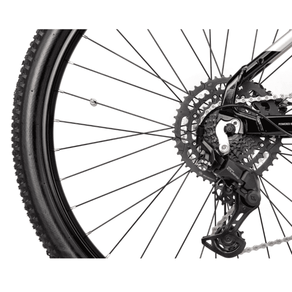 CTM E- bike Roxxy GX (2025) - Image 10