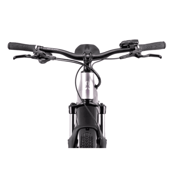 CTM E- bike Roxxy GX (2025) - Image 2