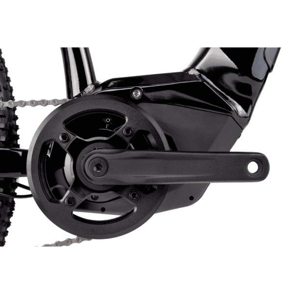 CTM E- bike Roxxy GX (2025) - Image 8