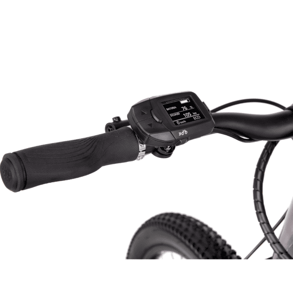 CTM E- bike Roxxy GX (2025) - Image 9